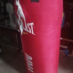 everlast bag 