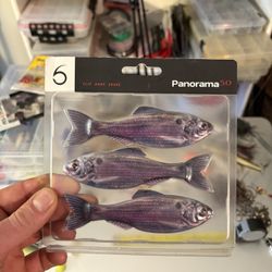 6th Sense Panorama 5.0 “Live Threadfin Shad” PANP50-LTD 
