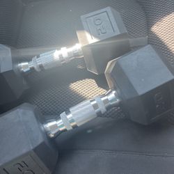 20lbs Dumbbells 