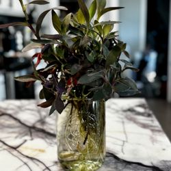 Purple heart living in large mason jar! 