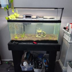 40 Gallon Breeder Style Fish tank with accessories