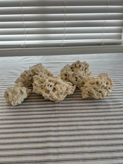 Aquarium Rocks For Salt And Fresh Water Caribbean