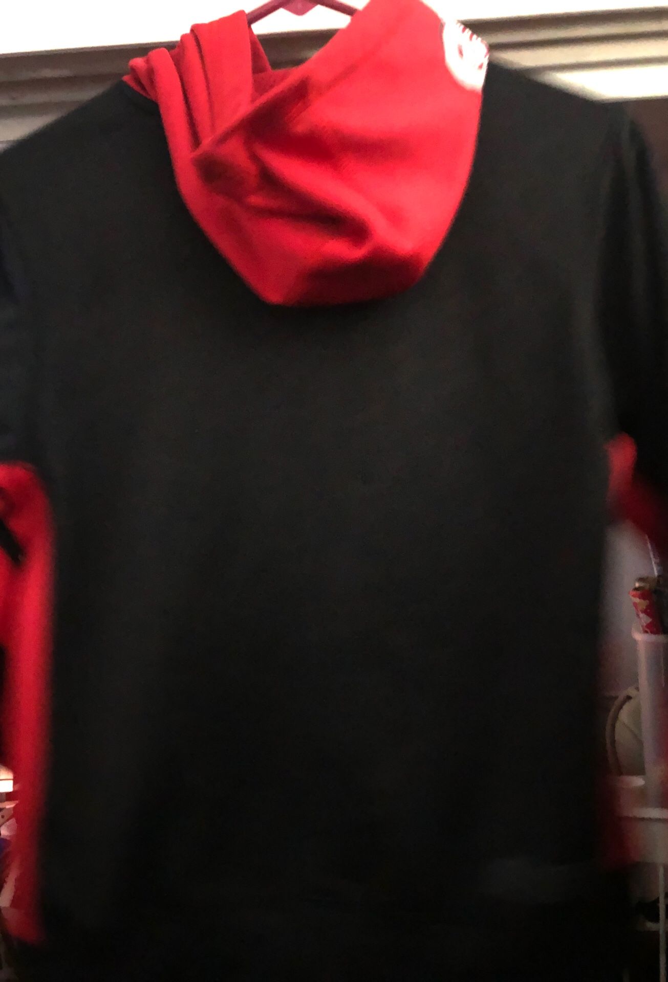 The Ohio state buckeyes hoodie