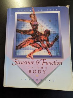 Structure And Functions Of The Body