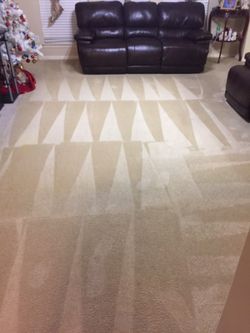 Carpet Cleaning