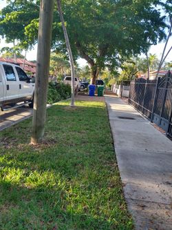 Jardinería En General