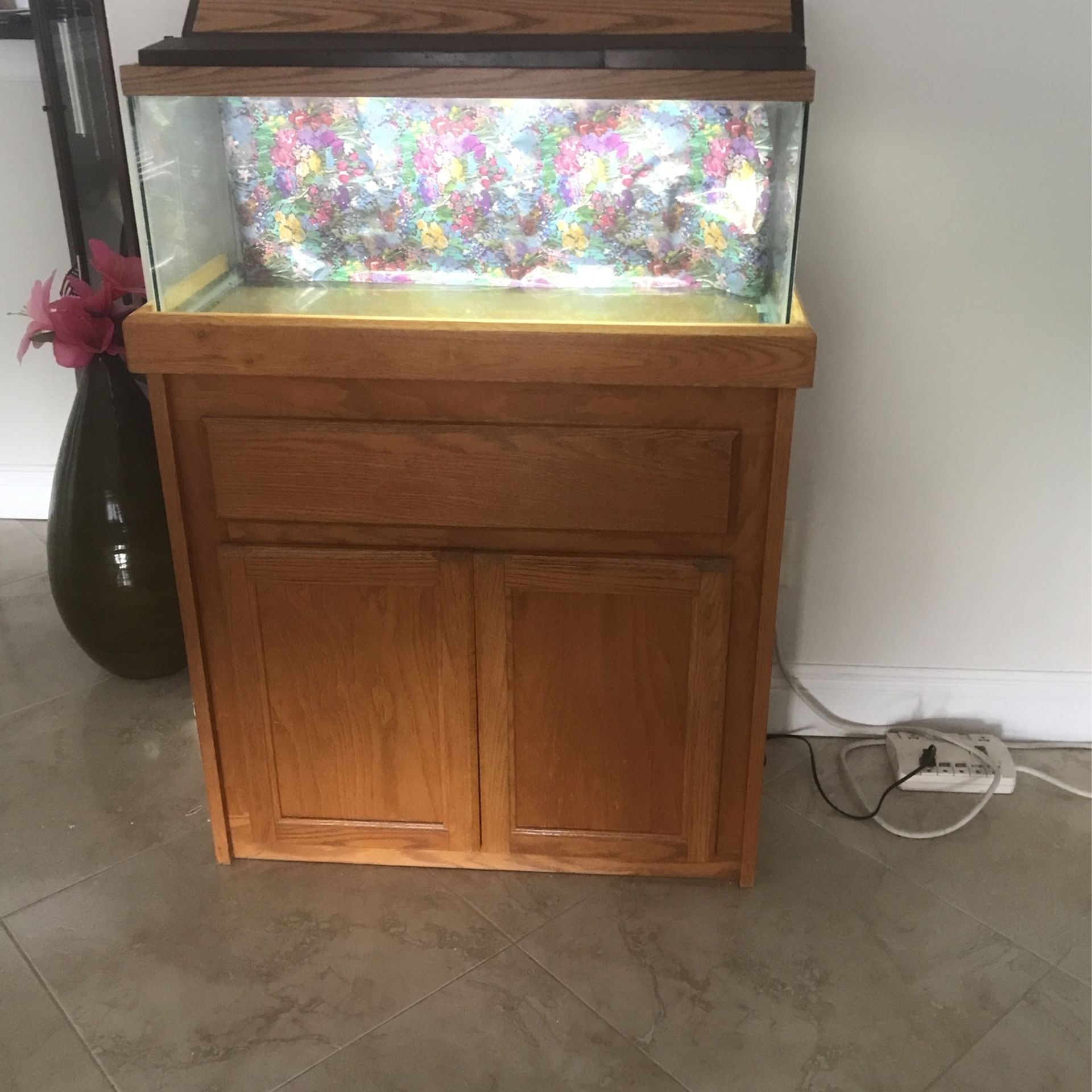 22 Gallon Fish Tank With Wooden Stand 