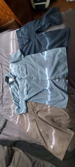 Dickies Shorts / Shirt