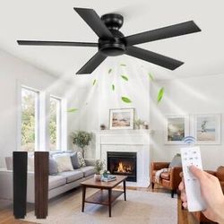 48 in. Indoor/Covered Outdoor Black 6-Speed Low Profile Ceiling Fan