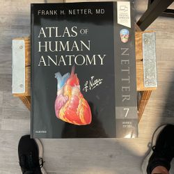 Atlas Of The Human Body By Frank Netter