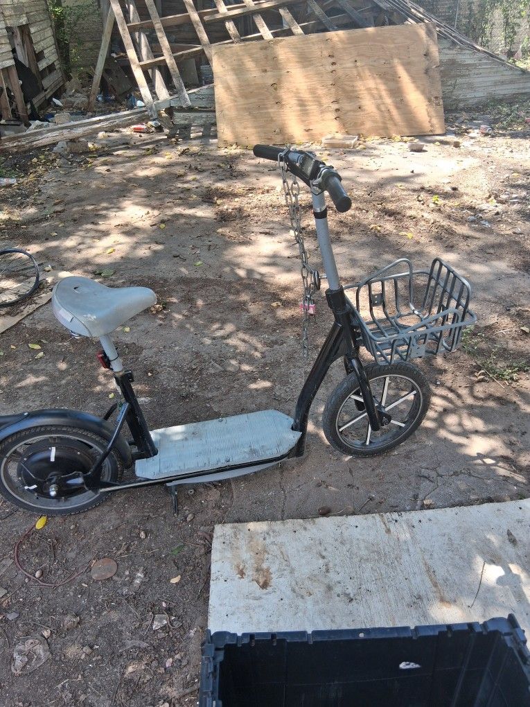 Adult Elrctric Scooter