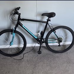 Nishiki Mountain Bike