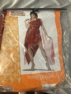 Halloween costume - BRAND NEW - size Large