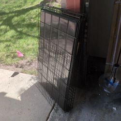 Dog Gates 