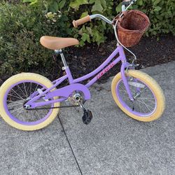 Aceger Bike With Basket