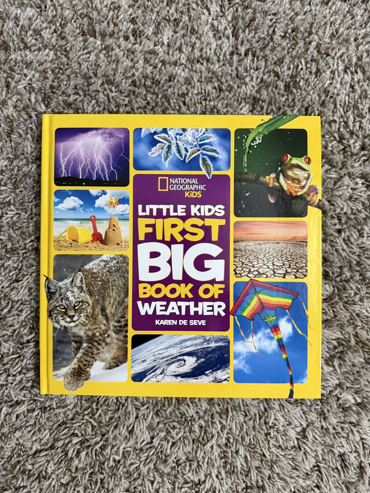 Children’s Book About Weather