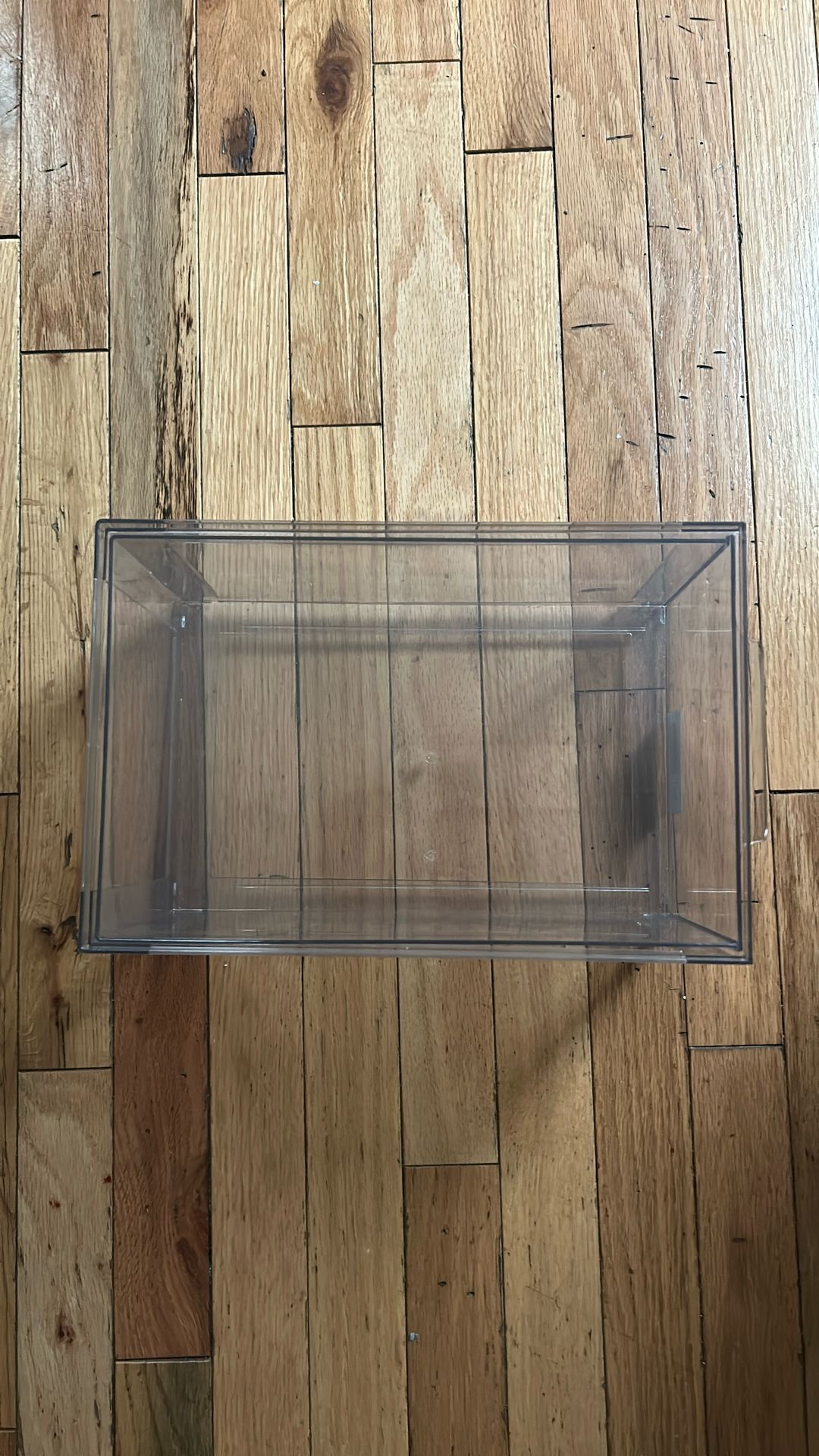 5 shoe boxes 