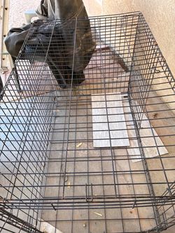 Large size metal pet crate