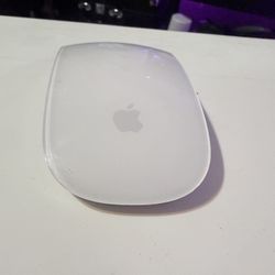 Apple Magic Mouse 