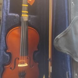 Violin 