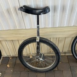 Schwinn Unicycle