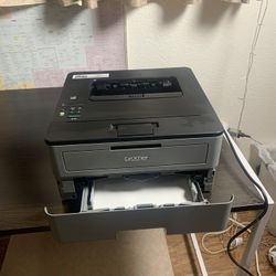 Brother Compact Monochrome Printer 