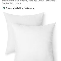 2 couch throw pillows
