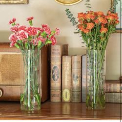 7pcs Glass Cylinder Vases for Centerpieces - 10 Inch Tall Glass Vases for Flower, Clear Flower Vase Bulk Floating Candle Vase for Table Centerpiece We