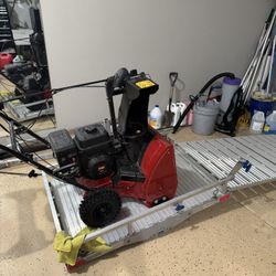Snow And Hitch Mounted Cargo Carrier With Ramp