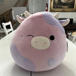 Squishmallow Patty NWT