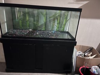 55 Gallon Fish Tank with Cabinet Stand