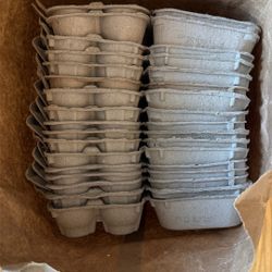 Egg Cartons