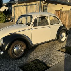 1965 VW Bug $6k Obo