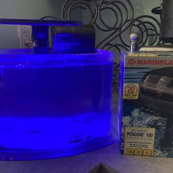 Rimless 3 Gallon Fish Tank With Coralife Led Light And Filter