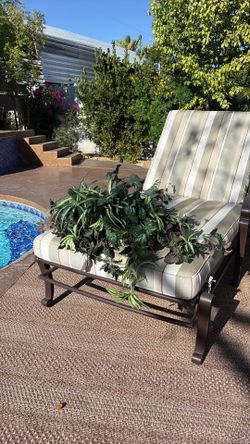 Faux plant