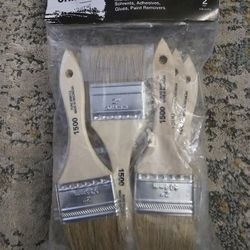 Paint Brushes 