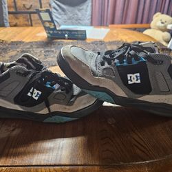 3 Pairs Of Ken Block DCs ~Size 9.5~