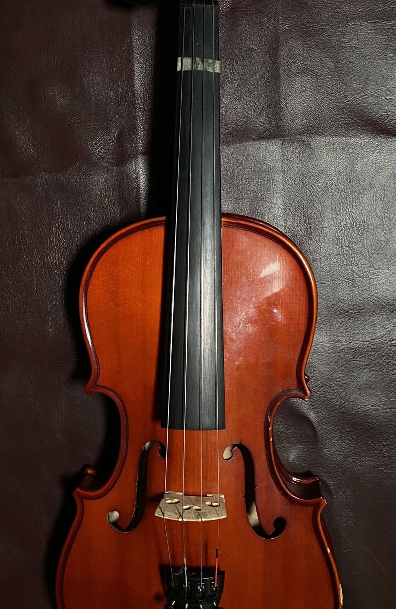 Cremona SV 175 Student Violin 3/4