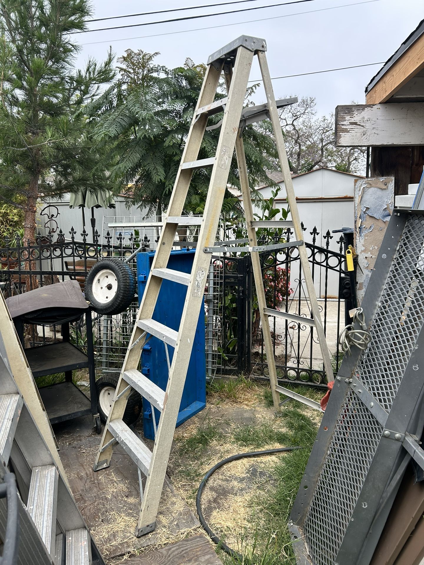 Ladder 8 Feet’s