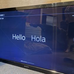 Sony Bravia 46” TV