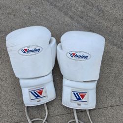 Winning Boxing Gloves 