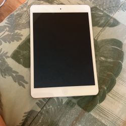 Mini Ipad 2