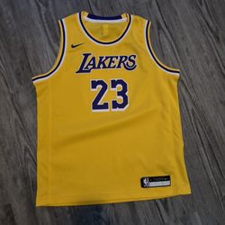 Official LeBron James Nike Jersey 
