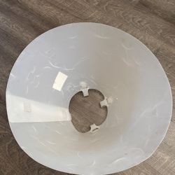 Dog Collar Recovery Cone