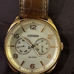 Citizen mens watch