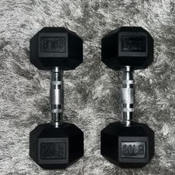 20 pound Dumbbell 
