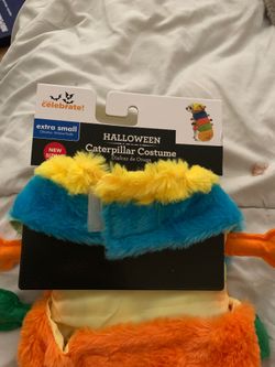 Dog Halloween Costumes