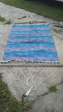 Palmetto. Hammock. Company hammock