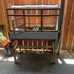 Bird Cage 