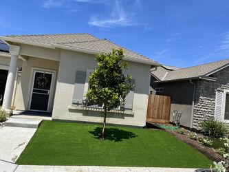 Artificial Turf